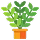 WOODSTARTER