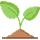 WOODSTARTER